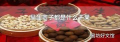 早生贵子都是什么干果