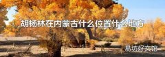 胡楊林在內(nèi)蒙古什么位置什么地方