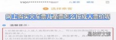 网上购买火车票儿童票怎么按成人票价呢