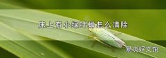 床上有小绿叶蝉怎么清除