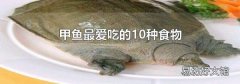 甲鱼最爱吃的10种食物