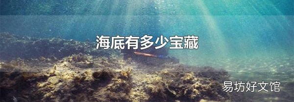 海底有多少宝藏