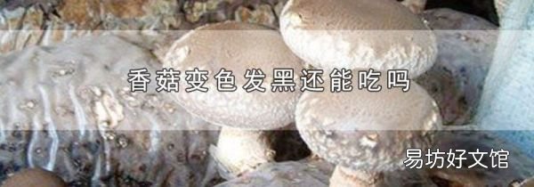 香菇变色发黑还能吃吗