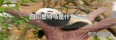 四川是特马是什么动物