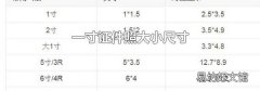 一寸证件照大小尺寸