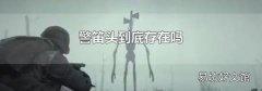 警笛头到底存在吗