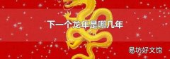 下一个龙年是哪几年