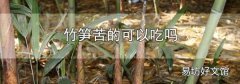 竹笋苦的可以吃吗