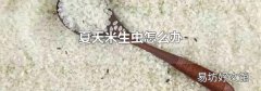 夏天米生虫怎么办