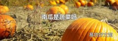 南瓜是蔬菜吗
