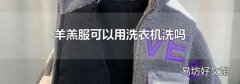 羊羔服可以用洗衣机洗吗