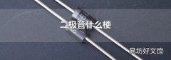 二极管什么梗