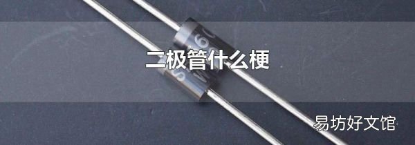 二极管什么梗