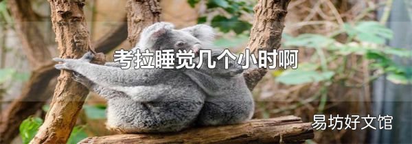 考拉睡觉几个小时啊