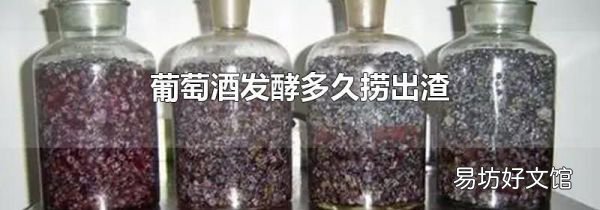 葡萄酒发酵多久捞出渣