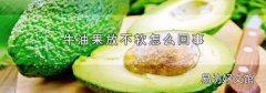 牛油果放不软怎么回事