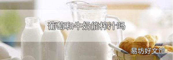 葡萄和牛奶能榨汁吗