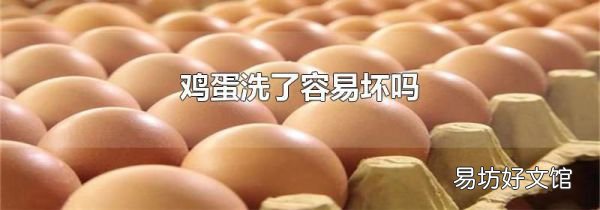 鸡蛋洗了容易坏吗
