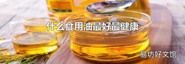 什么食用油最好最健康