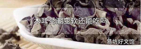 木耳受潮变软还能吃吗