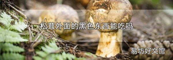 松茸外面的黑色东西能吃吗