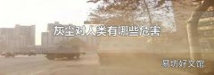 灰尘对人类有哪些危害