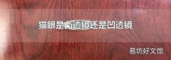 猫眼是凸透镜还是凹透镜