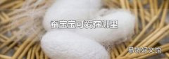 蚕宝宝可爱在哪里