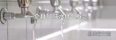 一个月10吨水什么概念