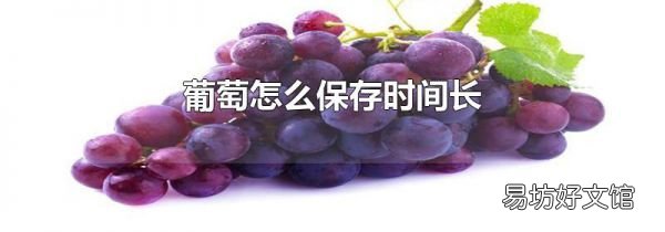 葡萄怎么保存时间长