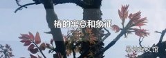 椿的寓意和象征