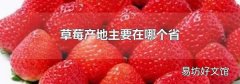 草莓产地主要在哪个省