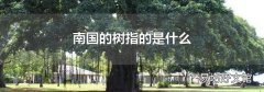 南国的树指的是什么