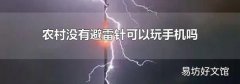 农村没有避雷针可以玩手机吗
