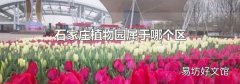 石家庄植物园属于哪个区