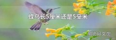 蜂鸟长5厘米还是5毫米