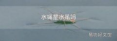 水蝇是水黾吗