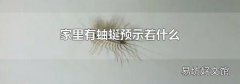 家里有蚰蜒预示着什么