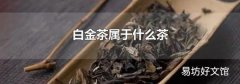 白金茶属于什么茶