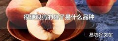 很硬很脆的桃子是什么品种