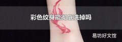 彩色纹身能彻底洗掉吗