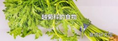越菊科的食物