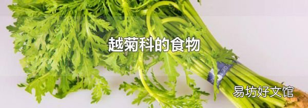 越菊科的食物