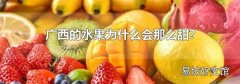 广西的水果为什么会那么甜?