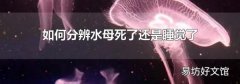 如何分辨水母死了还是睡觉了