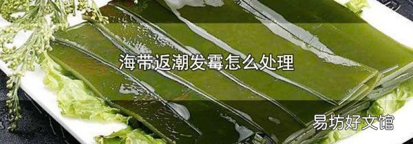 海带返潮发霉怎么处理