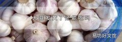 大蒜发黄了还能吃吗