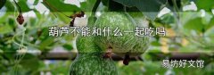 葫芦不能和什么一起吃吗