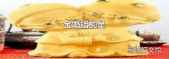 金婚指的是