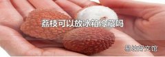 荔枝可以放冰箱冷藏吗